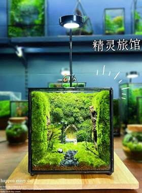 桌面苔藓微景观生态瓶懒人养护生态闷养盒创意