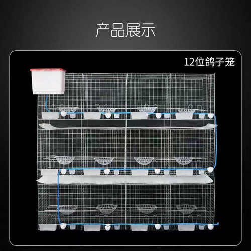 鸽子信鸽养殖笼大号加粗用品用具12位位养殖配对笼肉鸽繁殖笼子