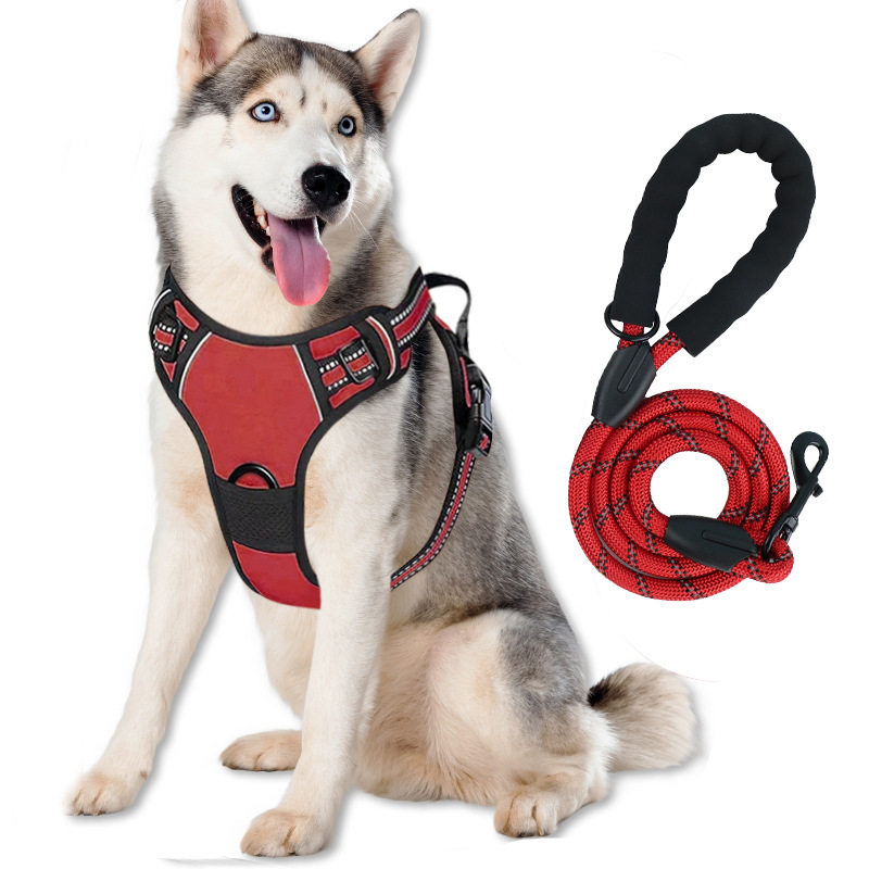 亚马逊大型犬宠物宠物狗牵引绳