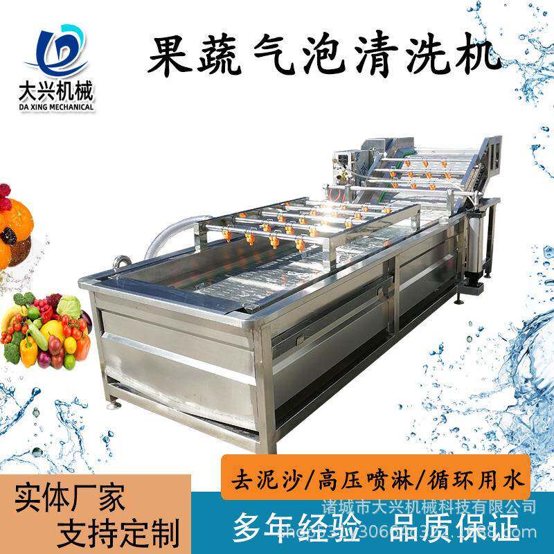 中药材高压喷淋清洗机腌渍菜脱盐清洗设备杨梅黄桃气泡清洗机