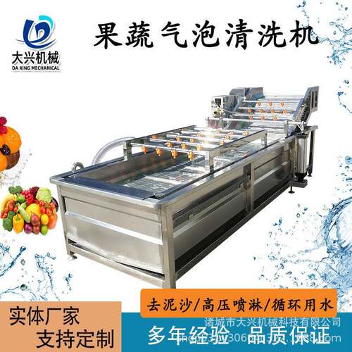 中药材高压喷淋清洗机腌渍菜脱盐清洗设备杨梅黄桃气泡清洗机