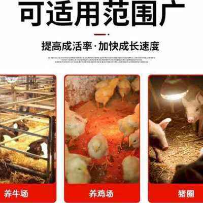 养殖专用兽用取暖灯雏鸡笼高温畜牧场畜牲烤灯器鸡苗小鹅育雏猪仔