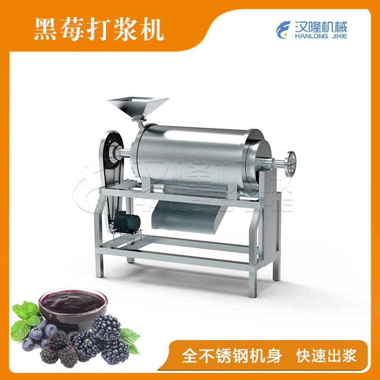 水果原浆加工不锈钢工业单道杨梅黑莓去核打浆机