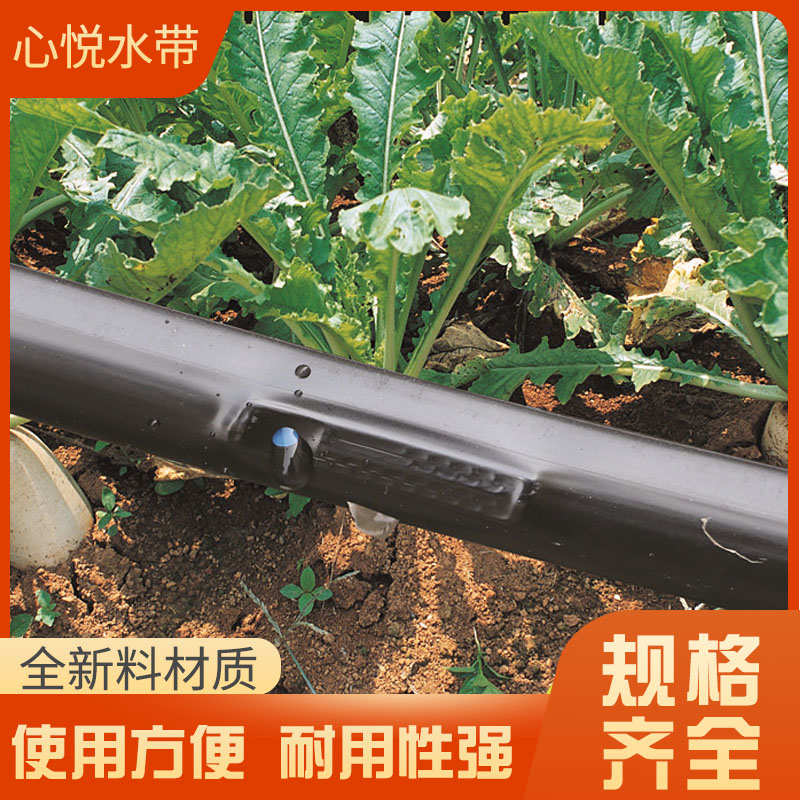 16微喷带滴管农用大棚蔬菜膜下16贴片式滴灌带滴水带节水灌溉设备