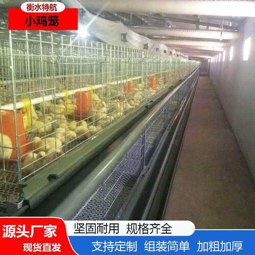 小鸡雏鸡加密养殖简单鸡笼防夹防跑小鸡笼畜牧农用养殖雏鸡笼