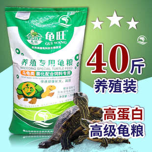 龟旺龟粮饲料乌龟料大小幼蛋水巴西石金钱黄缘草鳄食物颗粒通专用