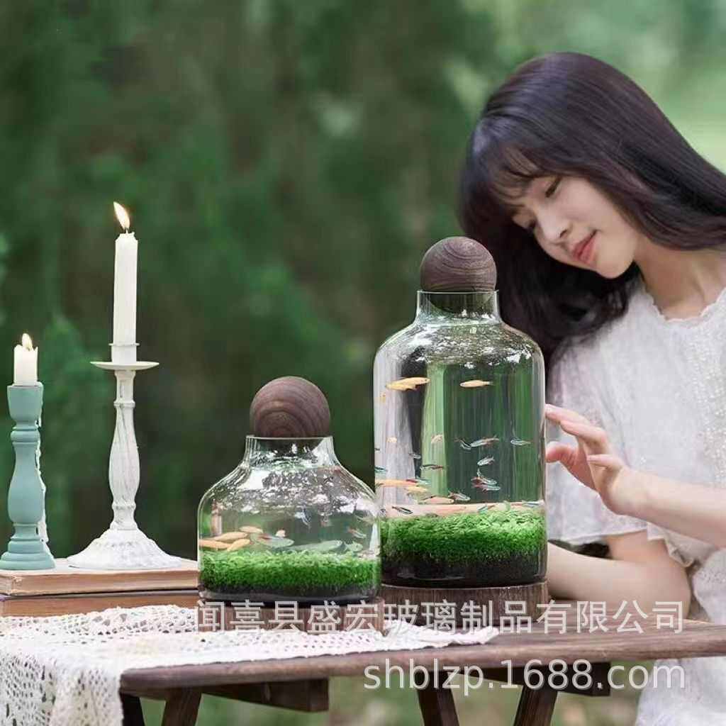 瓶玻璃鱼缸瓶聚宝盆生财木托轻创意景观日式微奢厂家生态椭圆形