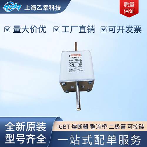 巴斯曼熔断器 170M5176 170M5177 170M5188 170M5189 170M5190