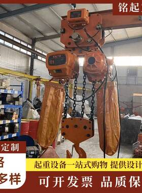 厂家直供环链电动葫芦1吨2吨吨运行式固定式可选择10吨环链葫芦
