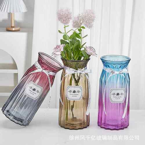 创意渐变玻璃花瓶客厅装饰干花插花桌面绿萝水培客厅家居摆件 - 封面