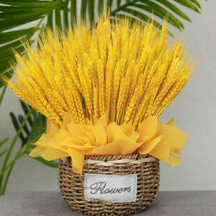 天然金色麦穗干花花束开业大麦客厅田园装饰摆件插花花蓝草编花盆