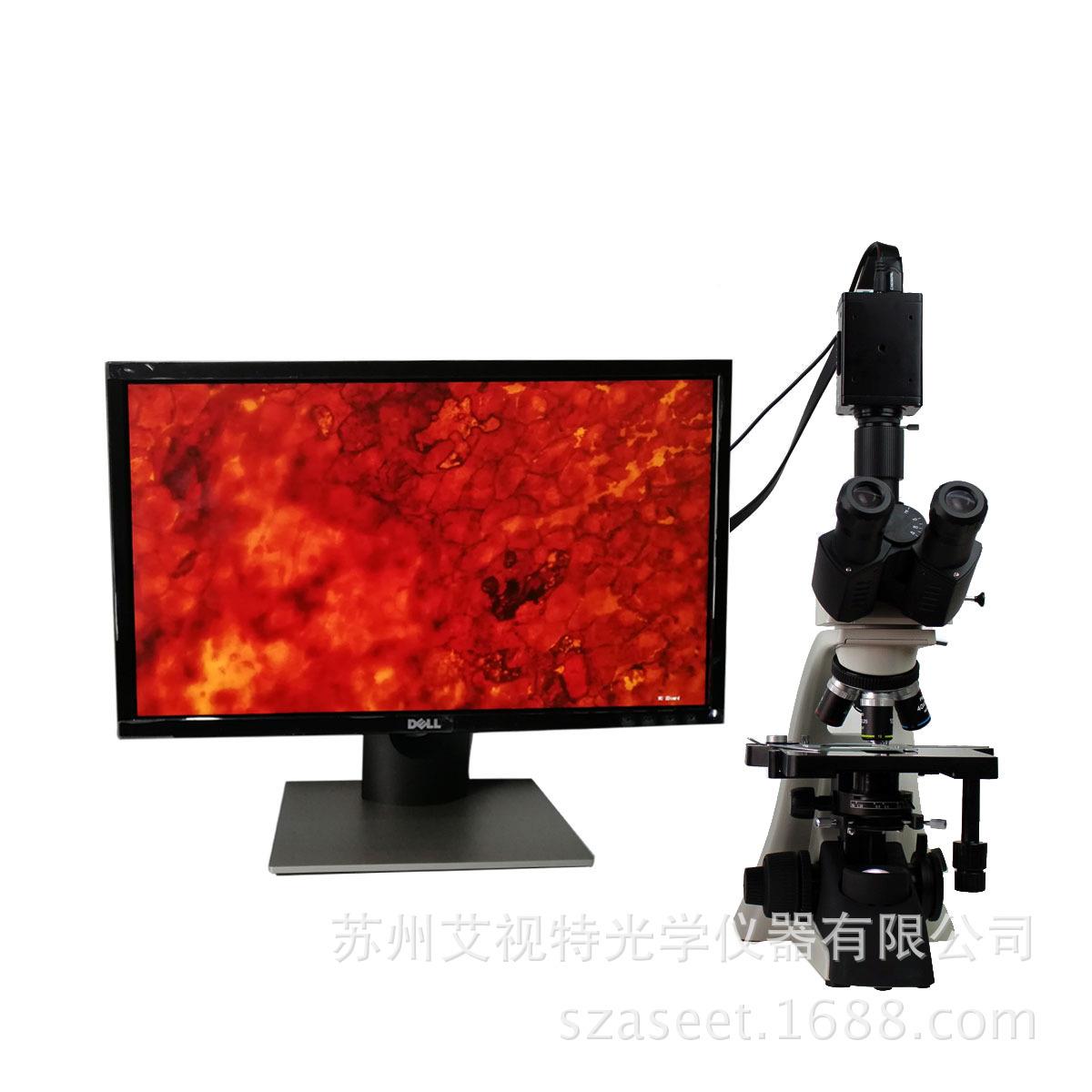 厂家供应研究级生物显微镜无限远1600x放大无限远消色差