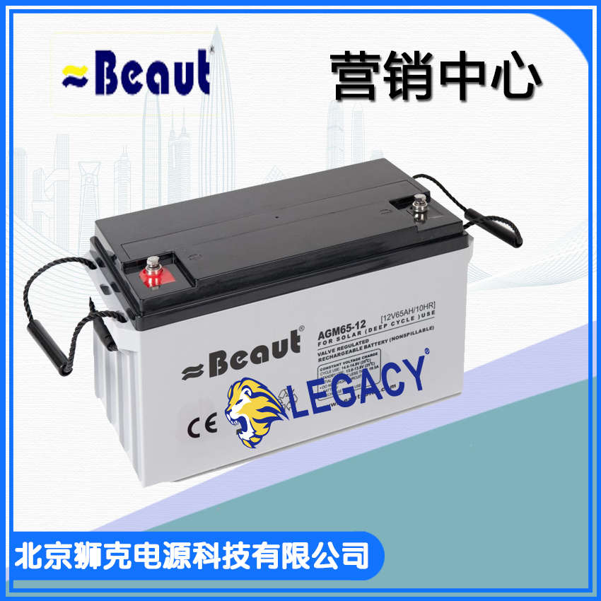 英国Beaut蓄电池AGM40-12 12V40AH UPS不间断电源电池 免维护原装