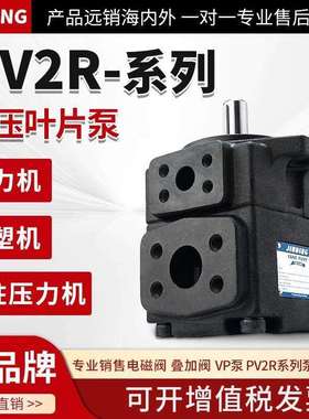 pv2r1高压叶片泵PV2R2定量液压帮浦总成pv2r3/4液压油泵压头配件