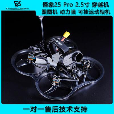 FPV 怪象25 PRO V3 2.5寸 涵道6S倒置模拟到手飞 XI 穿越机动力强
