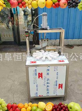 商用酸木瓜取芯分瓣机李子去核机工业哈密瓜分瓣机黄桃去核分瓣机