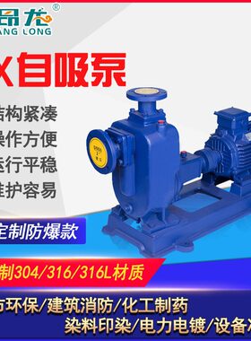 大流量自吸式清水泵22KW大功率抽水泵工程项目供水卧式自吸泵