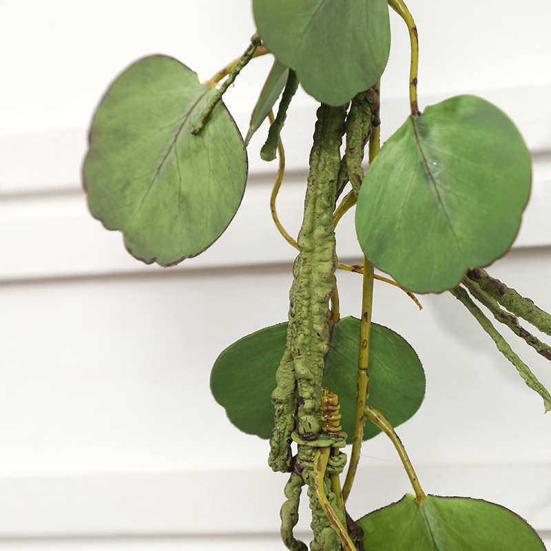 仿真藤条手感尤加利金钱叶家居酒店橱窗婚庆拱门缠绕壁挂热卖,鲜花速递/花卉仿真/绿植园艺,仿真绿植,淘宝优惠券,粉丝福利购,淘宝优惠卷