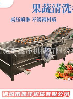 莴苣气泡清洗线银耳草菇清洗机不锈钢气泡清洗机设备