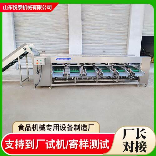全自动果蔬重量分选机商用滚杠式红薯橙子筛选机土豆黄瓜分级机