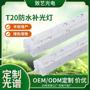 T20防水IP65植物灯室内多肉绿植led生长灯条全光谱100w补光灯照明