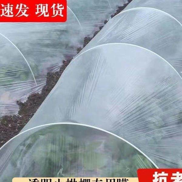 白色透明塑料薄膜大棚膜装修防尘多肉保温农用农膜蔬菜防