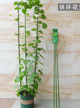 爬藤架子花支架月季花架植物山乌龟爬藤架室内园艺铁线莲爬藤支架