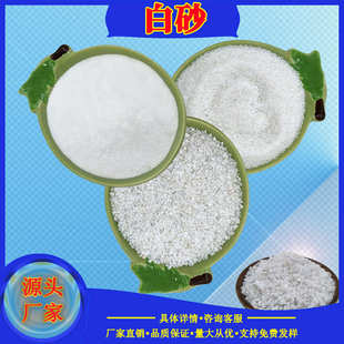厂家批发雪花白砂游乐场细沙过滤微景观白沙子人造沙滩造景白砂
