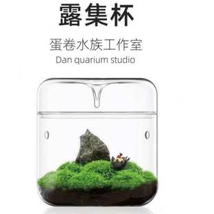 微景观迷你露集杯玻璃罩生态苔藓瓶创意生日礼物男女生送礼物长辈