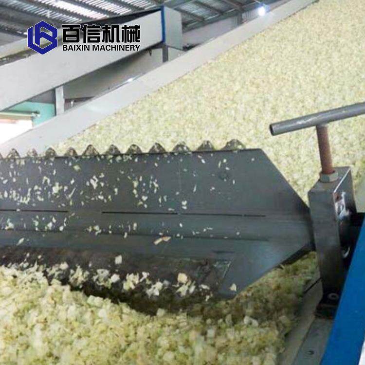 百信供应洋葱烘干机连续式洋葱脱水干燥机网带式洋干燥设备