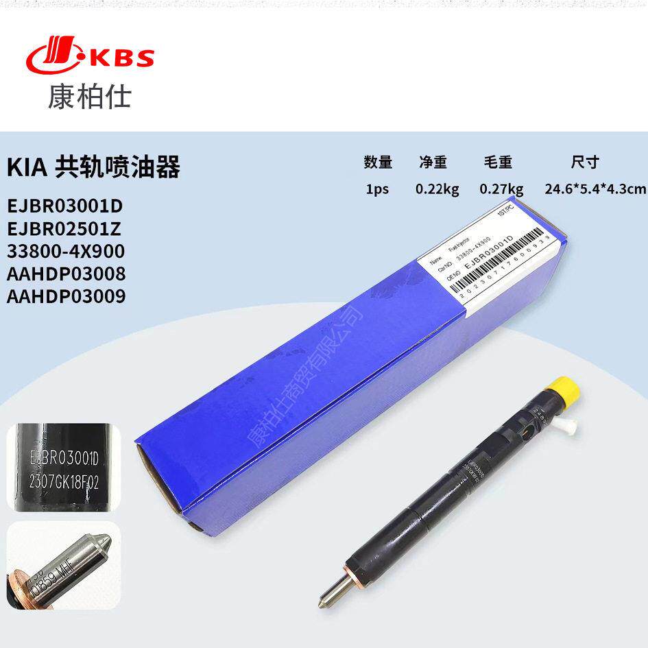 德尔福共轨喷油器总成EJBR03001D/EJBR02501Z 33800-4X900发动机