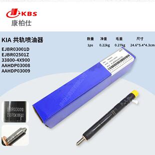 德尔福共轨喷油器总成EJBR03001D/EJBR02501Z 33800-4X900发动机