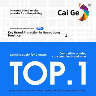 颜色网格适用于Tamarine Ad229Ps打印机墨盒 Ad229Mwc墨盒Ad209Pw