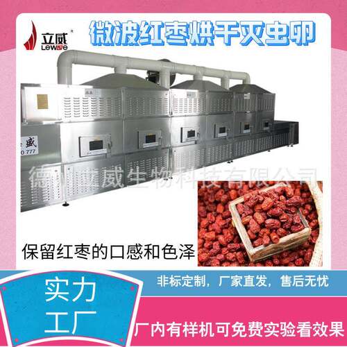 新疆大枣杀菌烘干设备核桃熟化杀菌机巴旦木果仁微波干燥机器