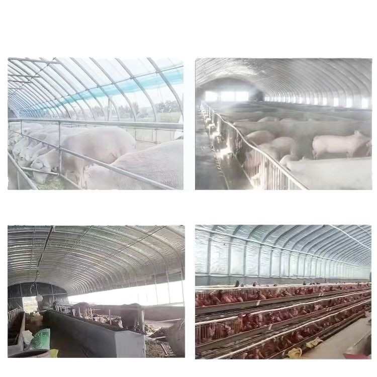 温室大棚骨架钢管蔬菜种植养猪场牛棚羊圈椭圆管养殖大棚配件全套
