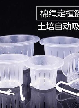 无土栽培水培定植篮鱼缸花盆固定篮加深玻璃花瓶固定架器绿萝固根