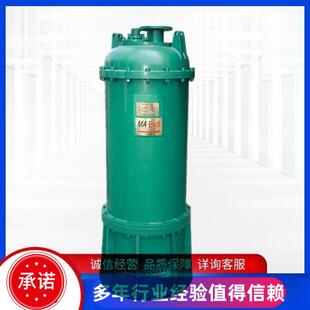 BQS矿用潜水泵采掘工作面排水矿用隔爆潜水泵BQS350