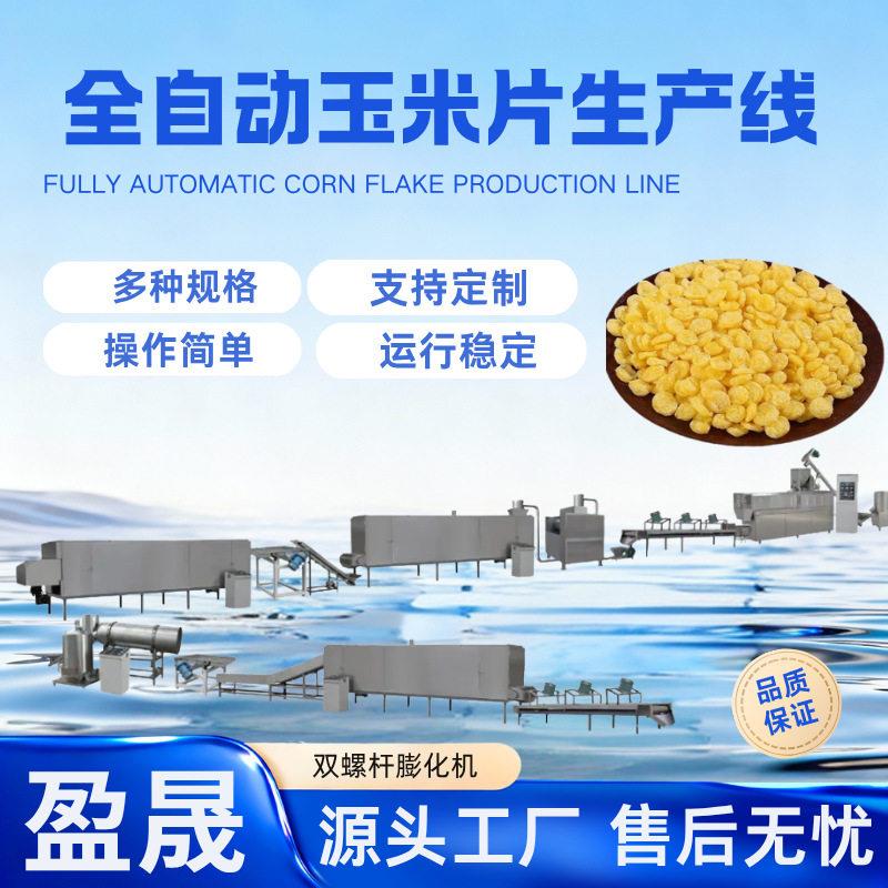 早餐玉米片生产线谷物脆加工设备双螺杆即食谷物片生产线膨化机