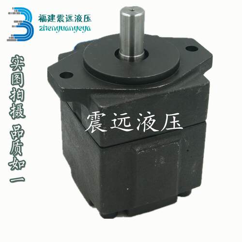 SCENERY油泵HONGYI XIANDING JULI dekema PV2R2-26-F-R 33 41 47