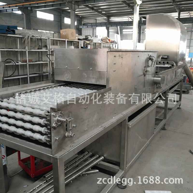 鸡蛋剥壳机的厂家 诸城艾格全自动洗蛋机 鹌鹑蛋剥壳机价格