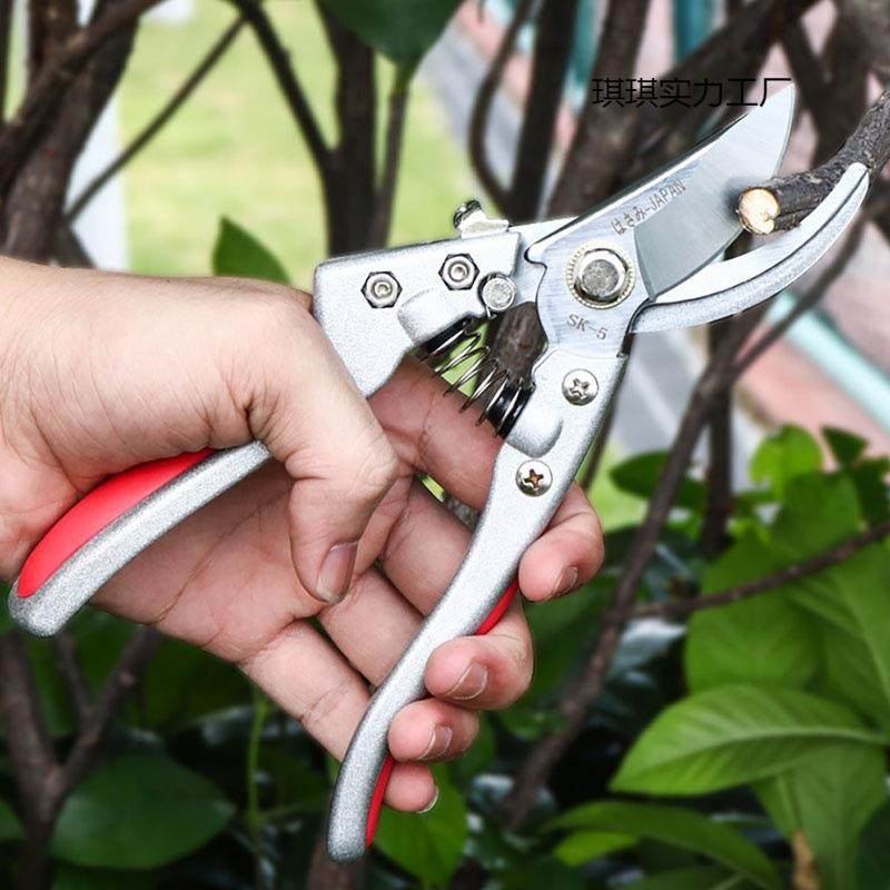 不锈钢果树修枝剪刀树枝剪花卉园林修花剪家用省力粗枝剪花艺剪刀,居家日用,园艺刀剪,淘宝优惠券,粉丝福利购,淘宝优惠卷
