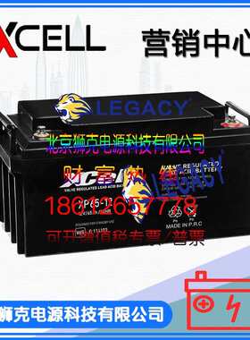 德国XCELL蓄电池 AGM  12V100AH UPS 精密仪器 不间断电源电池