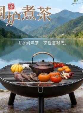 2025新款围炉煮茶烤火炉火盆木炭取暖室外烧烤套装煤碳炉家用室内