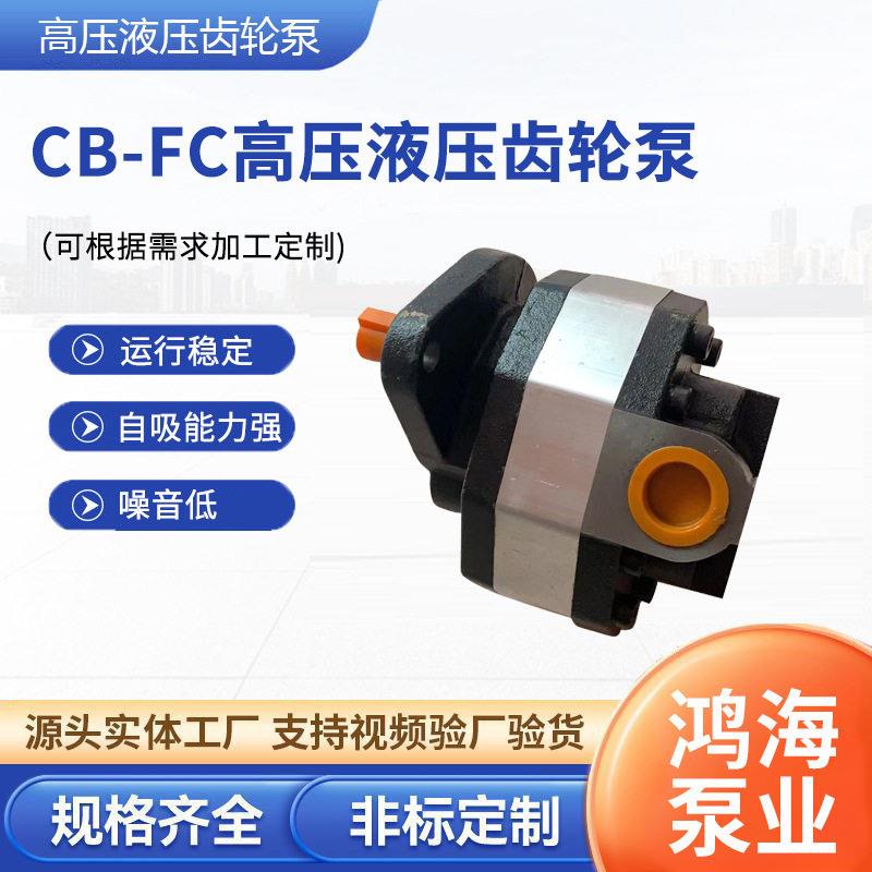 cb-fc压液压齿轮泵铝合金油压离心泵齿轮泵粉末冶金双联液压泵