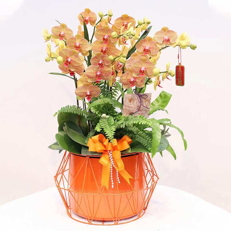 金属年聚宝盆轻奢假菱形冬青蝴蝶兰柳插花花福桶花盆摆件花花银宵