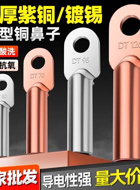 DT铜鼻子铜接头紫铜线鼻子线耳8/10/16/25平方镀锡堵油电缆线端子