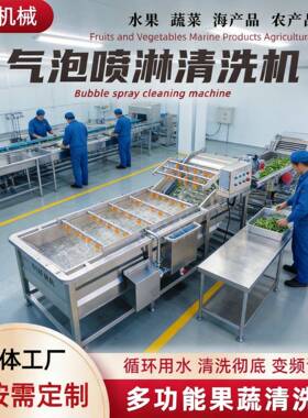 净菜加工气泡清洗机红枣辣椒果蔬气泡清洗机压喷淋果蔬清洗设备