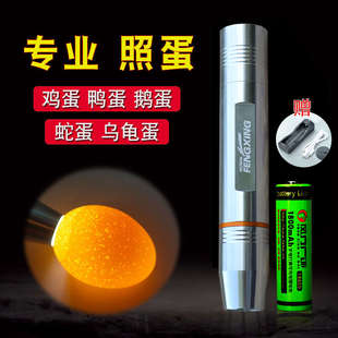 强光手电筒便携迷你家用孵化照蛋器SUB充电超亮LED灯多功能照玉器