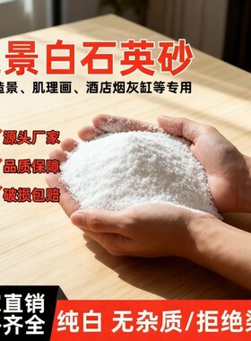石英砂丙烯肌理画园艺园林景观造景立体感画材料细沙手工美术造景