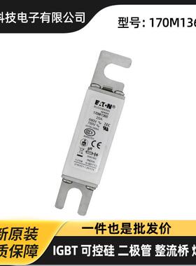 170M7499 170M7500 170M7507 170M7510原厂快速熔断器 保险丝